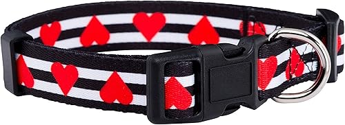 Miniatura 34 de Native Pup Collar de Perro de Halloween - Collares de Disfraz de Terror con Temática Espeluznante de Otoño - Calavera, Calabaza, Fantasma