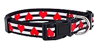 Algopix Similar Product 16 - Native Pup Valentines Dog Collar