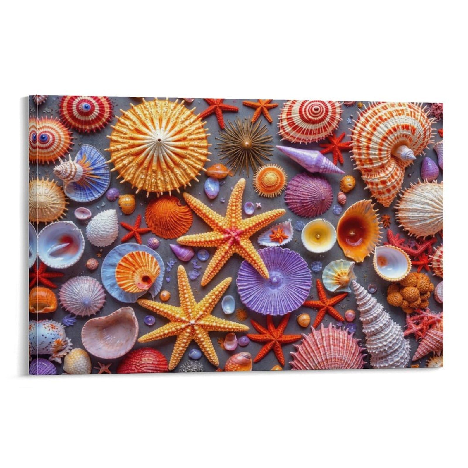 CPLVKWRQJ Sea Shells Collection Single Colorful Seashells And Starfish Pile Canvas Wall Art - Gift for Her/Him Living Room Focal Point Ready to Hang Decor 20x30inch(50x75cm)