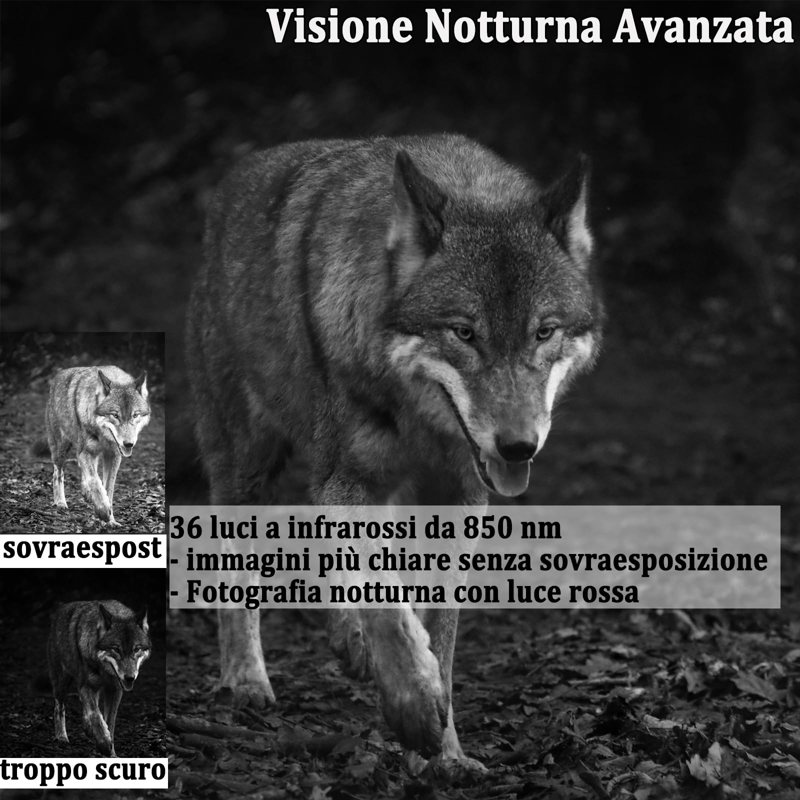 Fototrappola Fotocamera Caccia 50MP 4K, Fototrappole IP65 Impermeabile, Grandangolare 120 ° Fototrappola Infrarossi con SD da 32 GB (HC808A)