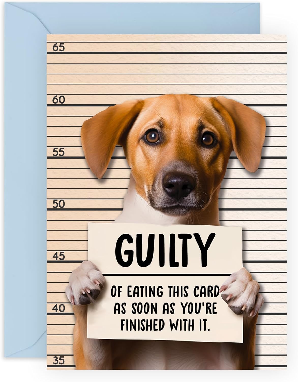 CENTRAL 23 Funny Dog Cards Dog Lineup Cute Dog