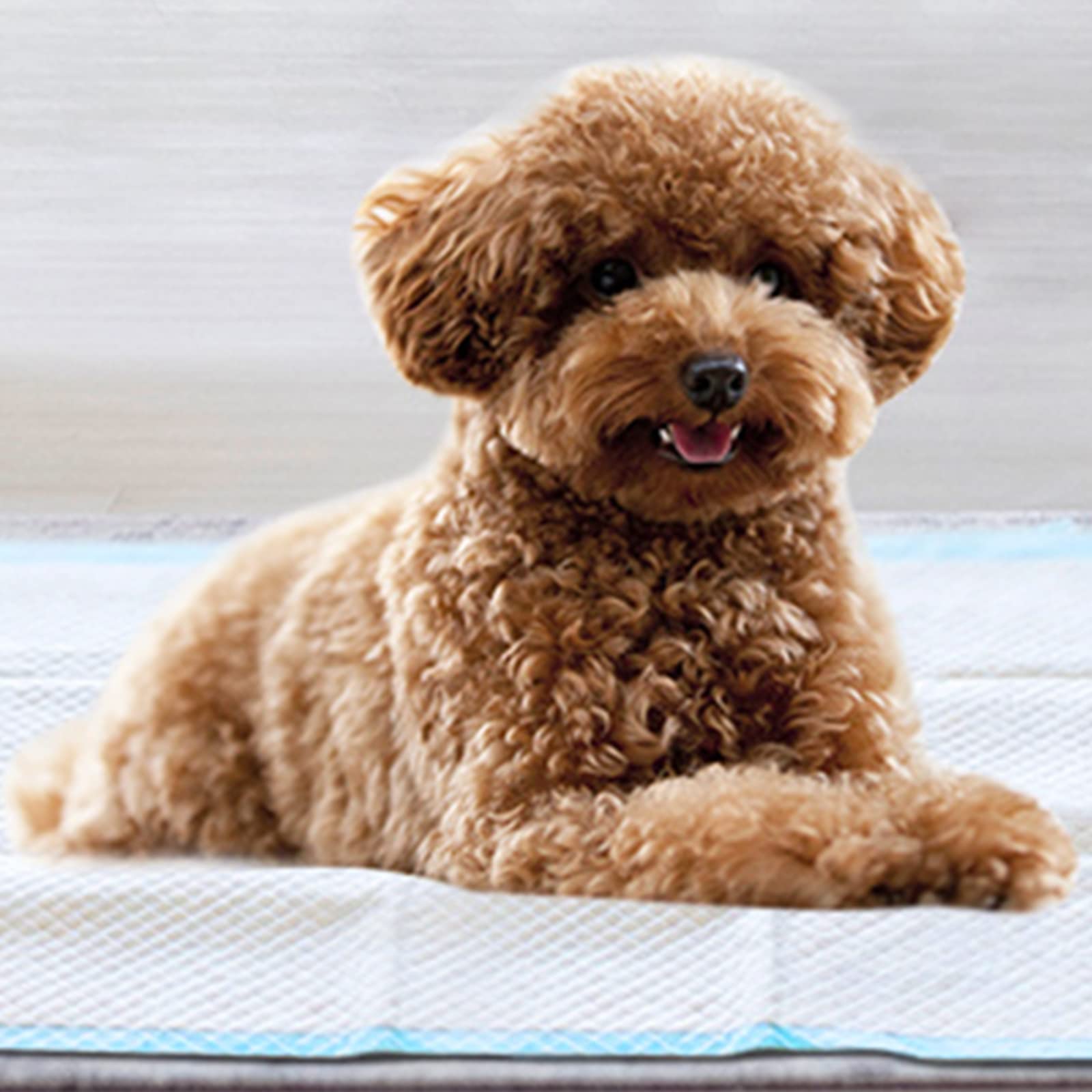 COSTWAY Lot de 150 Tapis Éducateurs pour Chiot, Alaise pour Chien Jetable à 5 Couches, Tapis Hygiénique Absorbant de 60 x 90 CM, Super Absorbants Apprentissage de la Propreté pour Animaux