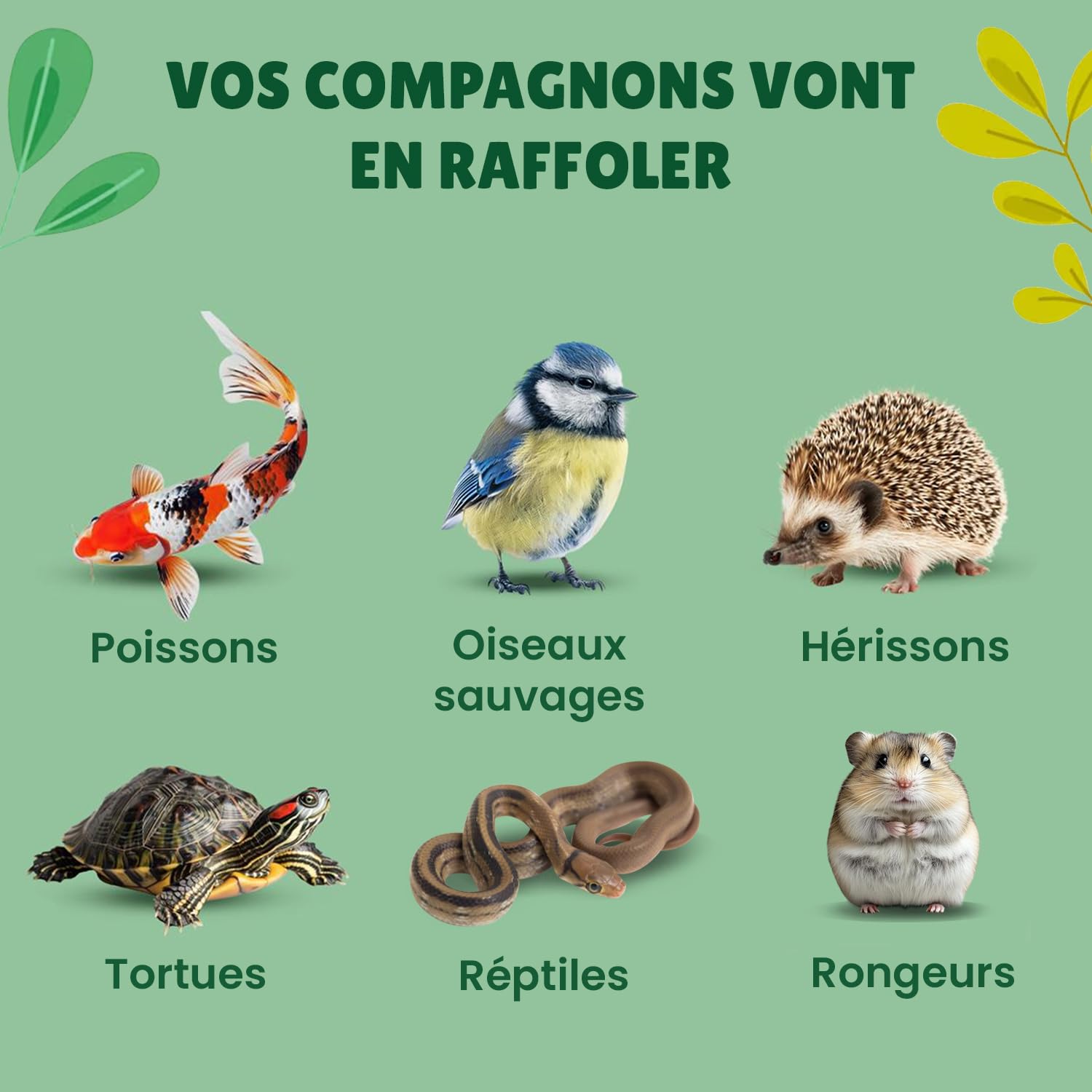 vers de Farine Séchés Français, 5kg (32,5L), 100% Naturel, Enrichis en Vitamines D3, Insectes Riches en Protéines et Bonnes Graisses, Nourriture Oiseaux Sauvages, vers de Farine Au Comptoir de Noé