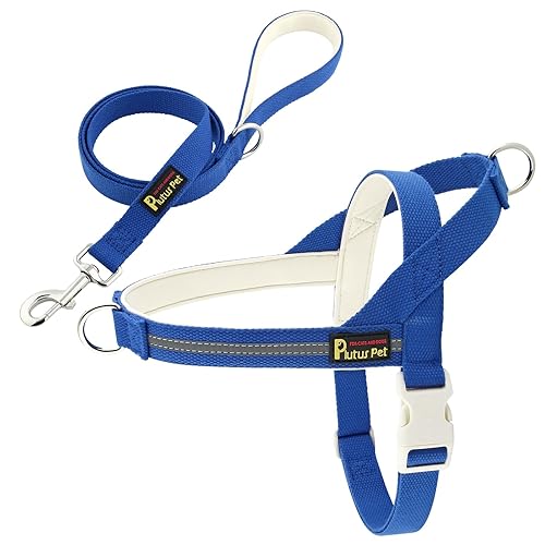 Does Arabian Jasmine Attract Snakes? What You Need to Know Gardening Flow