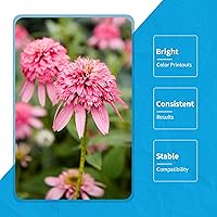 Vista 4 de Juego de botellas de tinta de 16.9 fl oz compatibles con Canon PGI-280 / CLI-281 XL PIXMA TS9120 TS8120 TS8220 TS9520 TR8520 TR7520 TS612 + kit