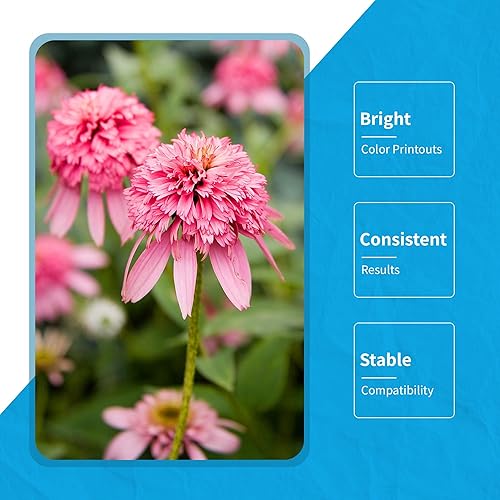 Miniatura 5 de Juego de botellas de tinta de 16.9 fl oz compatibles con Canon PGI-280 CLI-281 XL PIXMA TS9120 TS8120 TS8220 TS9520 TR8520 TR7520 TS612 + kit de