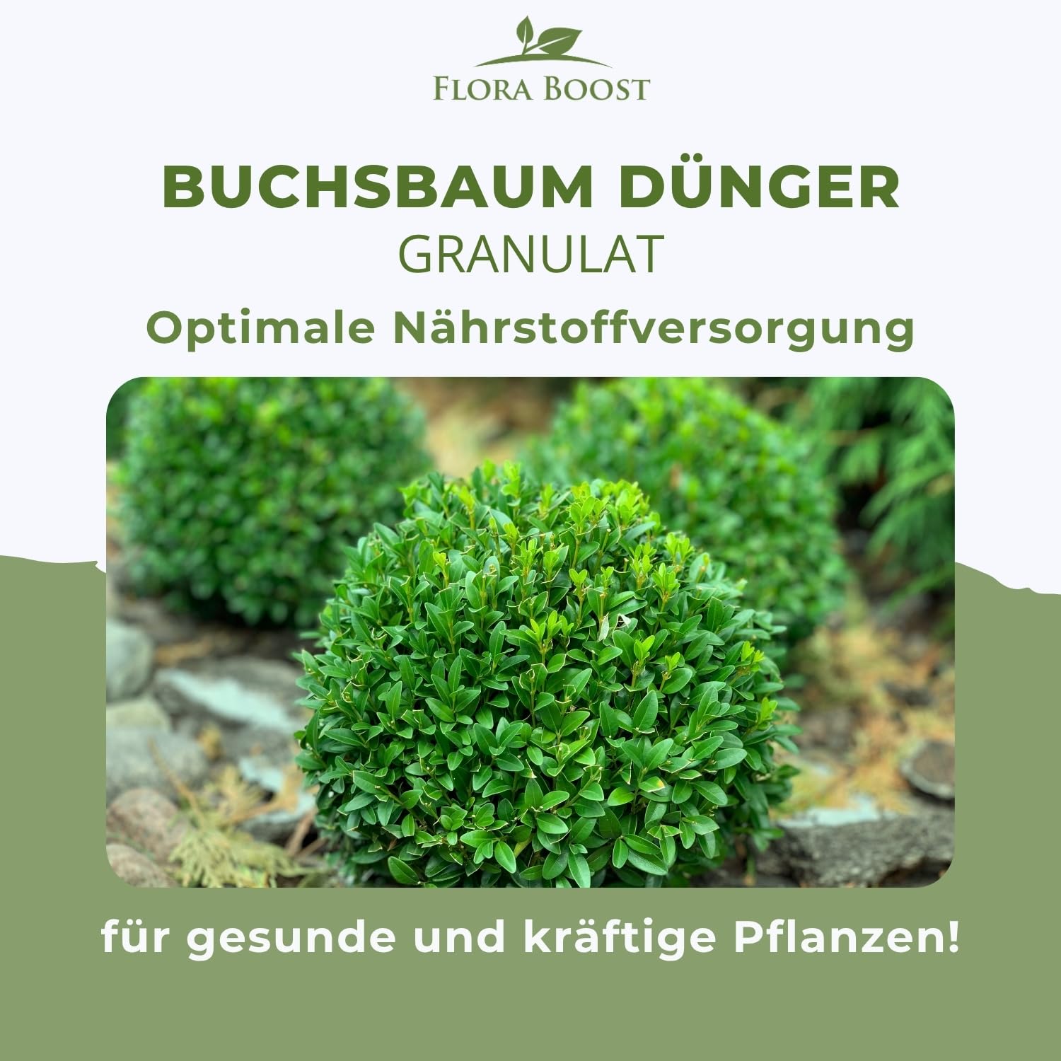 Flora Boost PRO Buchsbaum Dünger mit Langzeitwirkung, 5KG Granulat