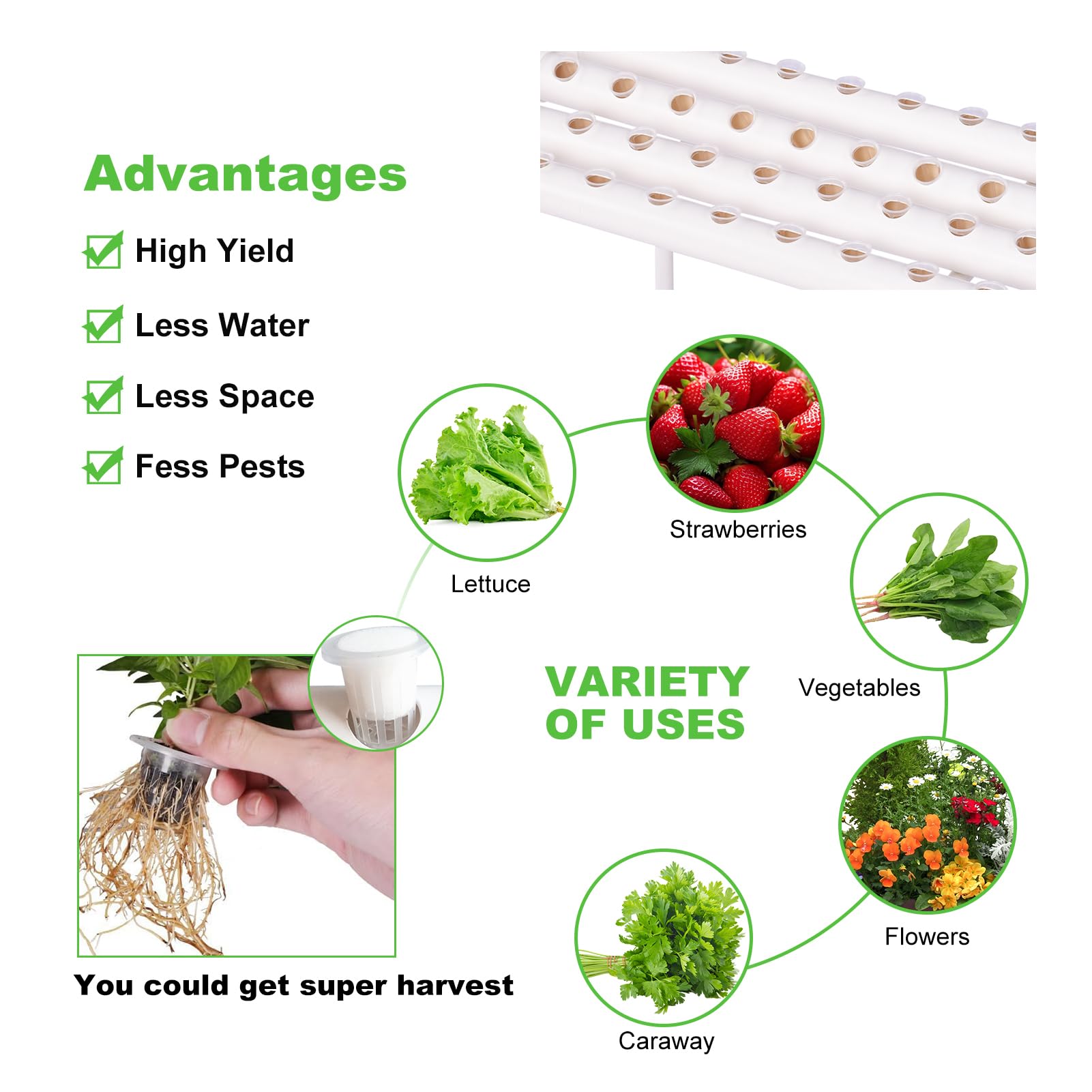 Sistema hidropónico | Sistema de Cultivo hidropónico en Interiores con Sistema de tuberías de PVC y Bomba de Agua, Temporizador y Kit de Cultivo para Verduras de Hoja