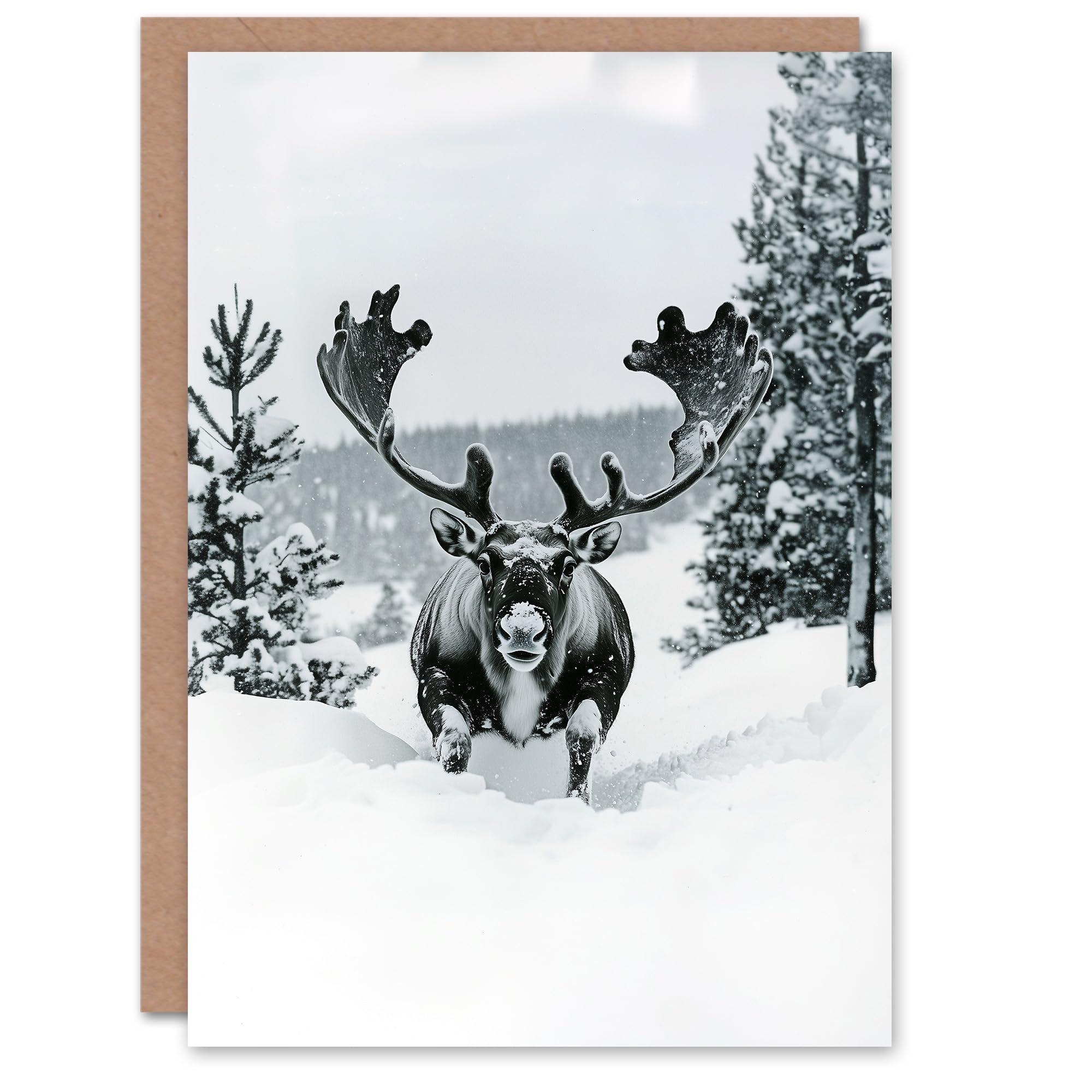 Artery8 Reindeer Black White Winter Forest Snow Blank For Him Or Her Art Xmas Festive Christmas Card