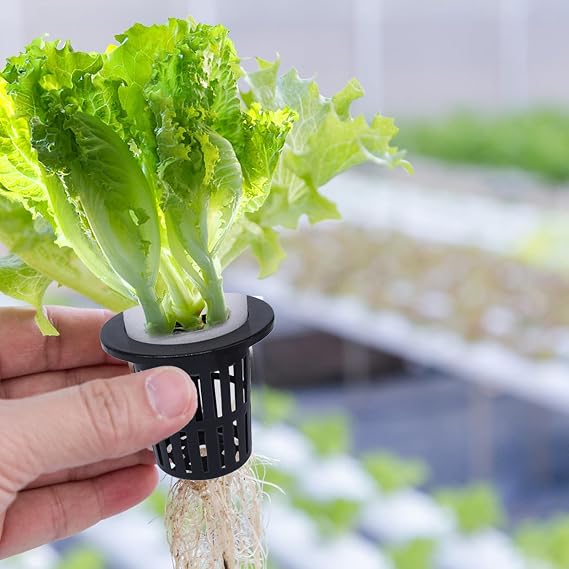 Net Pots Hydroponic Baskets | 50 Pieces Plant Baskets for Strawberries Orchids Tomatoes Lettuce Vegetable Year-Round Cultivation Indoor Garden Germination