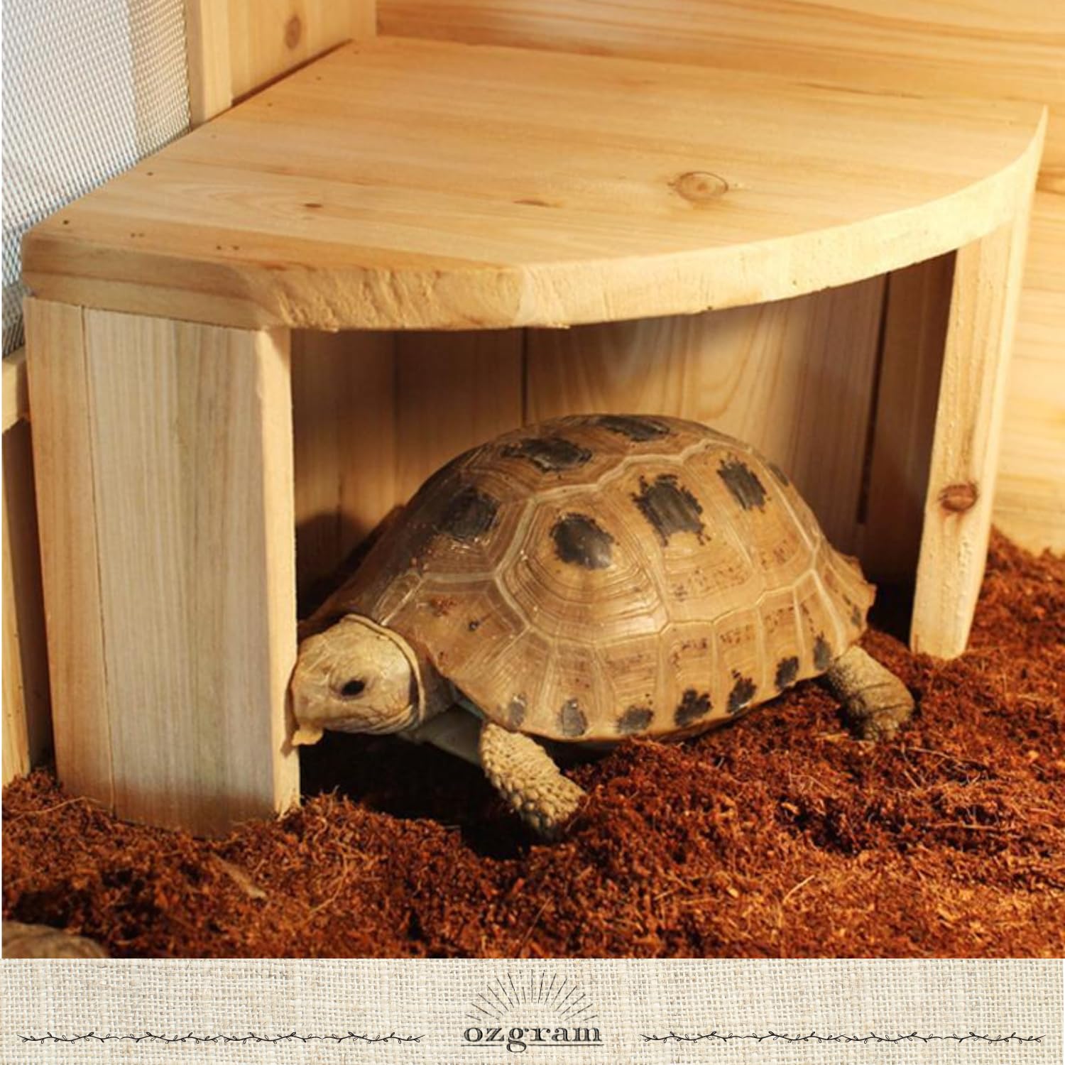 CELLTER【BIG！】LLサイズオリーブ　爬虫類両生類小動物シェルター隠れ家 ロックシェルターSP XL RX-196 スドー 爬虫類 両生類 シェルター