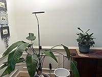 Review Image by Denise L. McLaurin