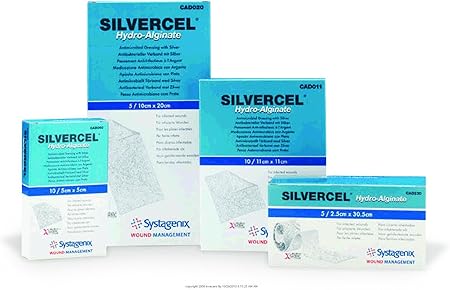 Amazon.com: SILVERCEL Antimicrobial Alginate Dressing, Silvercel 1 X ...