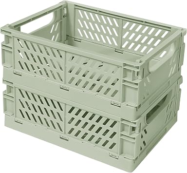 Tobeso-Nuoze Pastel Plastic Storage Baskets 2 Pack Collapsible Crates