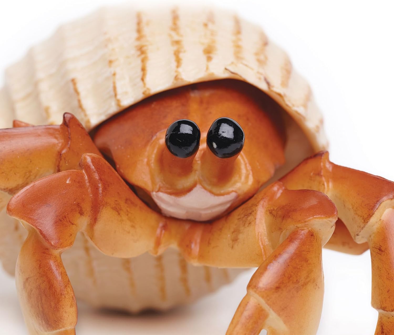 Safari Ltd. Hermit Crab Figurine - Detailed 4.5" Model Figure - Educational Toy for Boys, Girls, and Kids Ages 18M+
