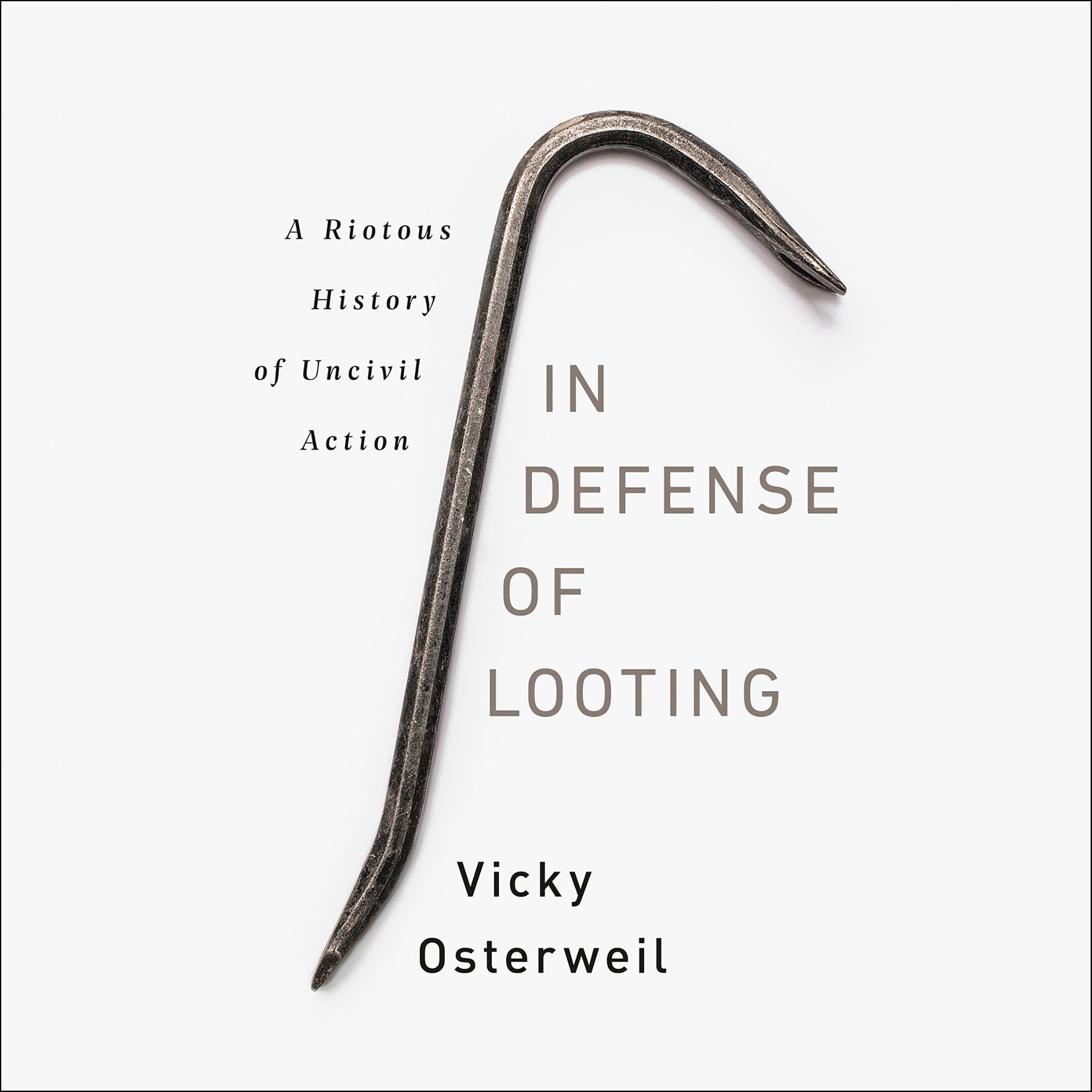 Cover art for In Defense of Looting