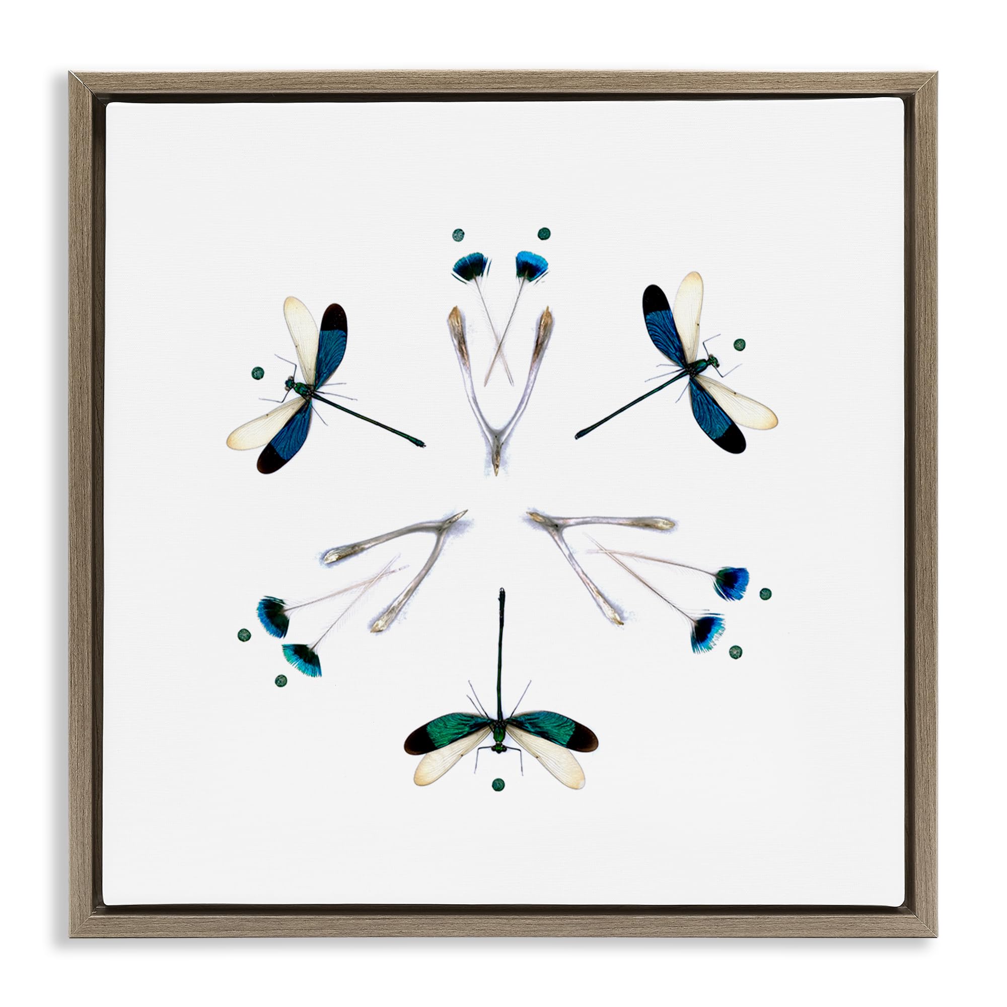 Dragonfly Symmetry Nature, 24 x 24 Inch Canvas in Floater Frame
