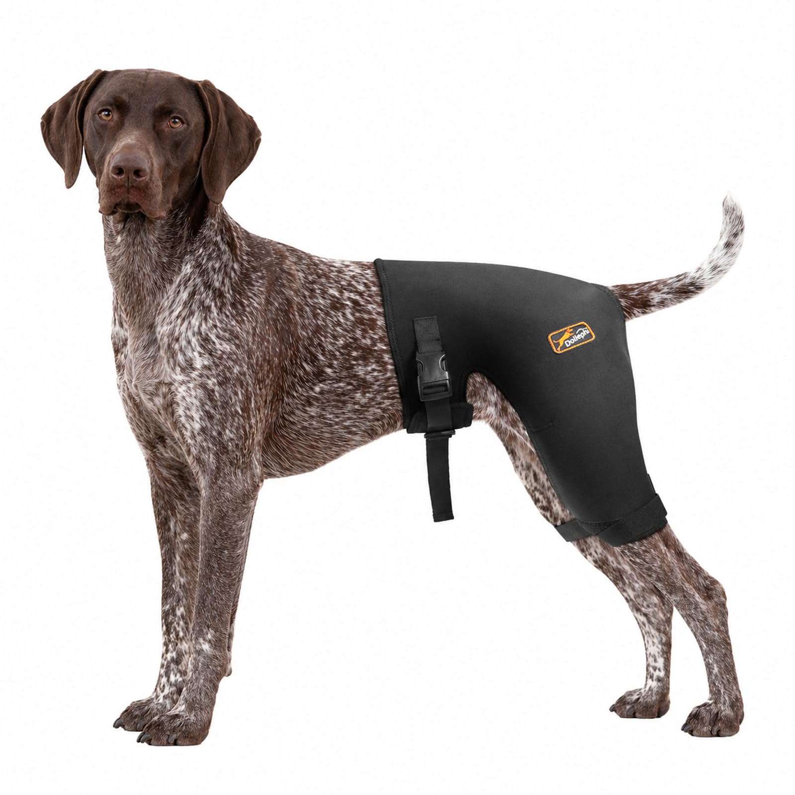 Photo 1 of Dog Hip Brace with Removable Hot/Cold Pack – Breathable & Comfortable Rear Leg Support for Hip Dysplasia, Arthritis, ACL Instability, Limping, Mobility & Pain Relief,Patent Pending(Female Dog, XL)