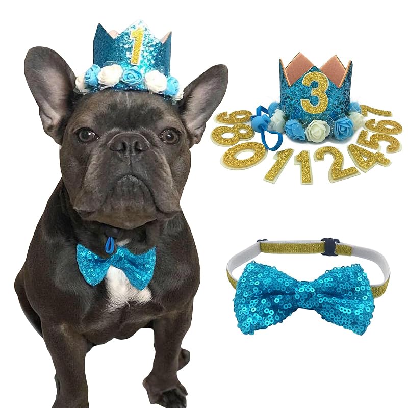 Kit de Chapéu de Aniversário para Cães e Gatos com Gravata Borboleta POSAPET Blue