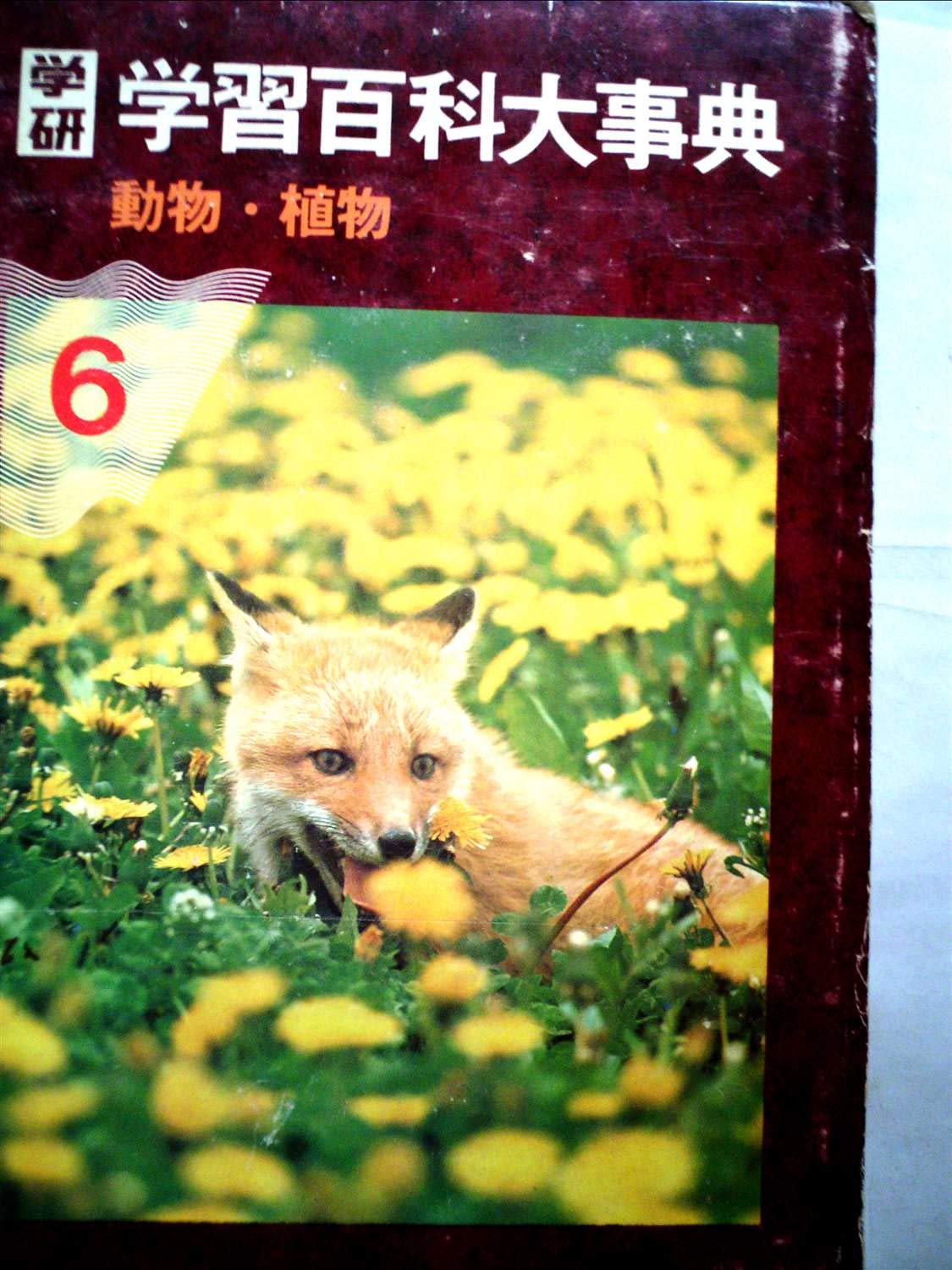 学研 学習百科大事典 第6巻 (動物・植物) 学研 学習百科大事典 第6巻 (動物・植物) | 古岡秀人, 渡部ひろし |本
