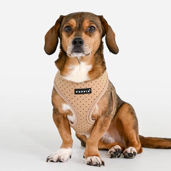 Puppia Dotty Dog Harness A (Over-the-Head) Fashionable Polka Dot Pattern Spring Summer Harness for Small Dogs, Beige, X-Small