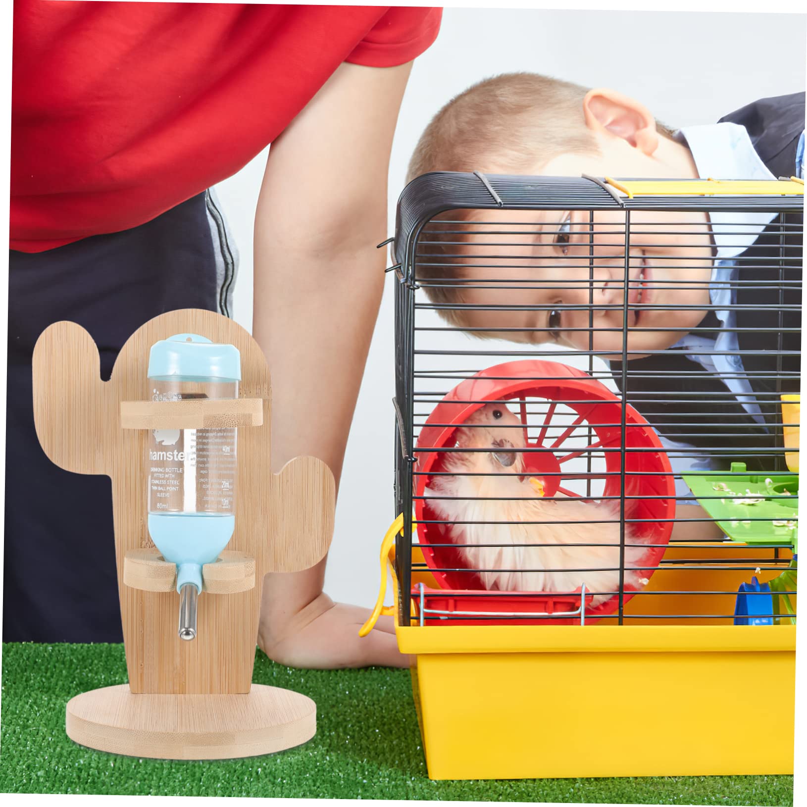 Toddmomy Distributeur d'eau Vertical Couleur Aléatoire Design Pratique et Facile à Utiliser en Bois et Plastique Bouteille Transparente pour Petits Animaux pour Cages d'animaux