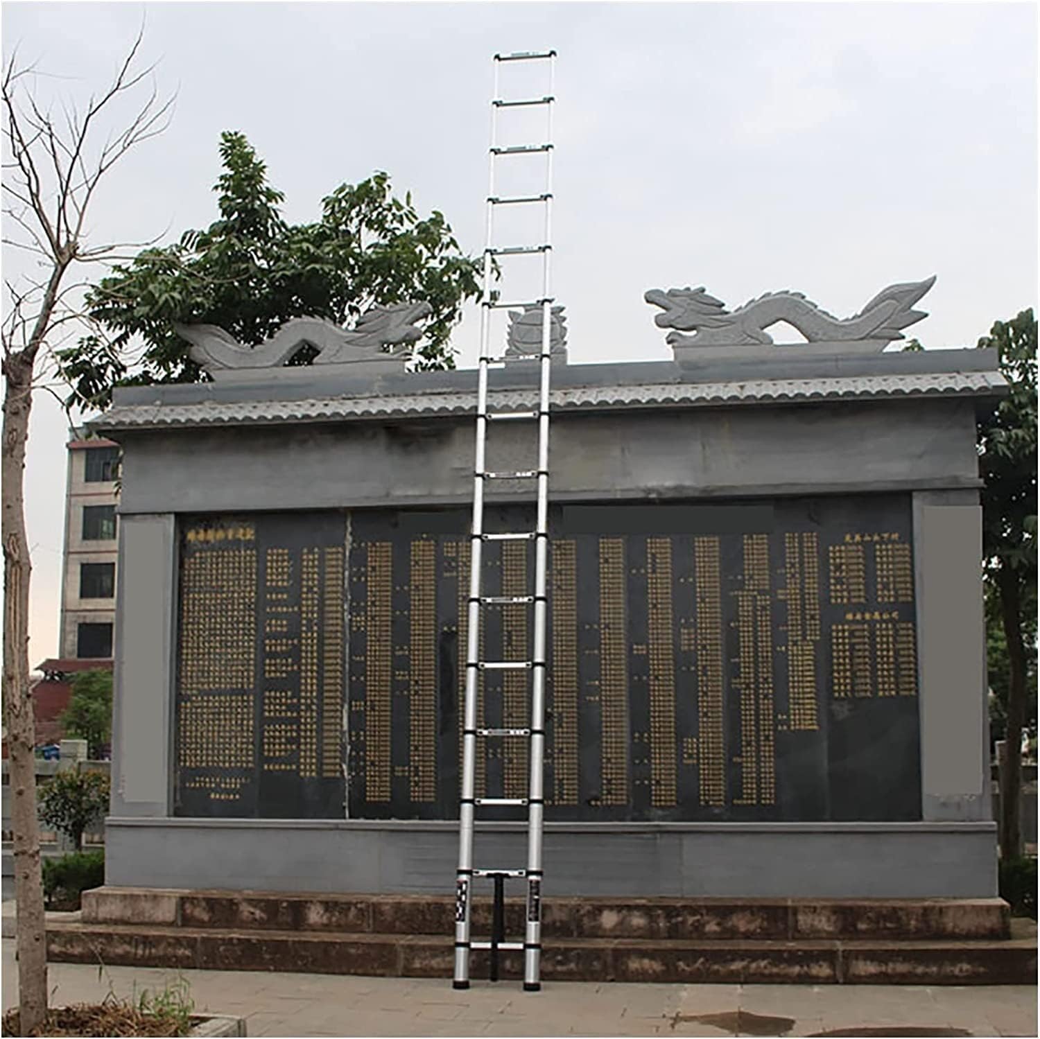 Telescopic Ladder,Indoor Outdoor Heavy Duty Straight Ladder with Rubber Feet Extra Tall Telescoping Ladder Stepladder