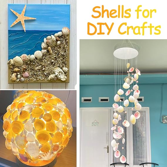 80+ Pcs Natural Seashells, Mixed Sea Shells for Crafts, Various Sizes Ocean Shells Starfish Conch for decorating, Beach Theme Party, DIY Crafting, Fish Tank Filling, Home Decor, Wedding Decoration