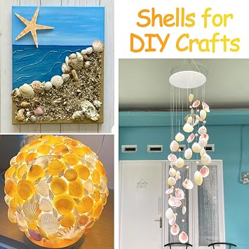 80+ Pcs Natural Seashells, Mixed Sea Shells for Crafts, Various Sizes Ocean Shells Starfish Conch for decorating, Beach Theme Party, DIY Crafting, Fish Tank Filling, Home Decor, Wedding Decoration