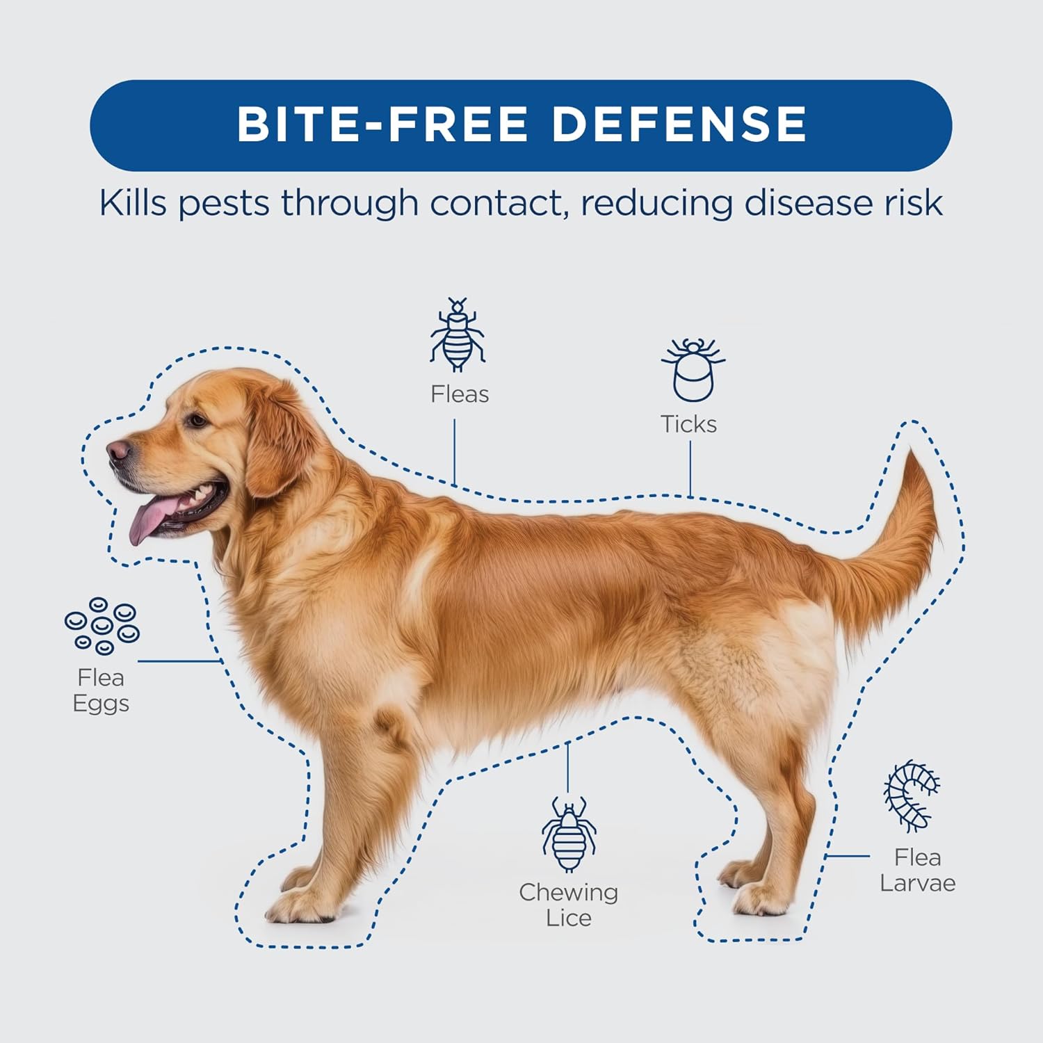 FirstAct Plus Flea Treatment for Dogs, Medium Dogs 23-44 lbs, 6 Doses, Same Active Ingredients as Frontline Plus Flea and Tick Prevention for Dogs