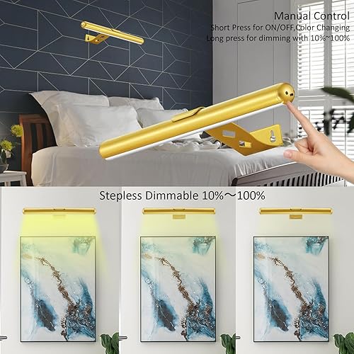 Miniatura 4 de VIGMOJ Luz de imagen inalámbrica funciona con pilas, luz de pintura recargable con control remoto, lámpara de exhibición de luz de arte de metal, 3