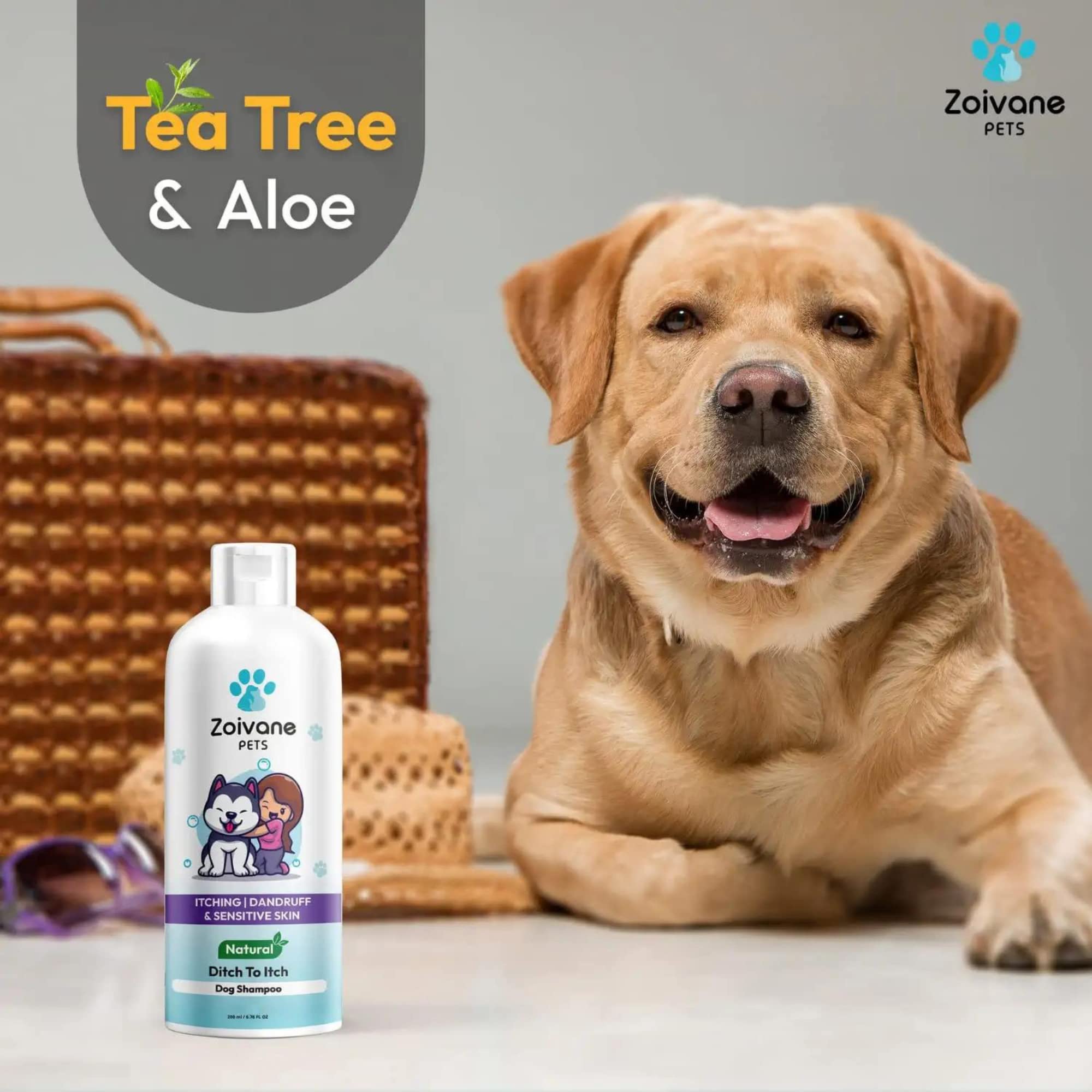 ZOIVANE Dog Shampoo With Soap | Ditch To Itch Dog Shampoo 200Milliliter + Neem Tulsi Soap 100 Gm Each - Pack Of 2 - Combo - 200 Milliliter 2