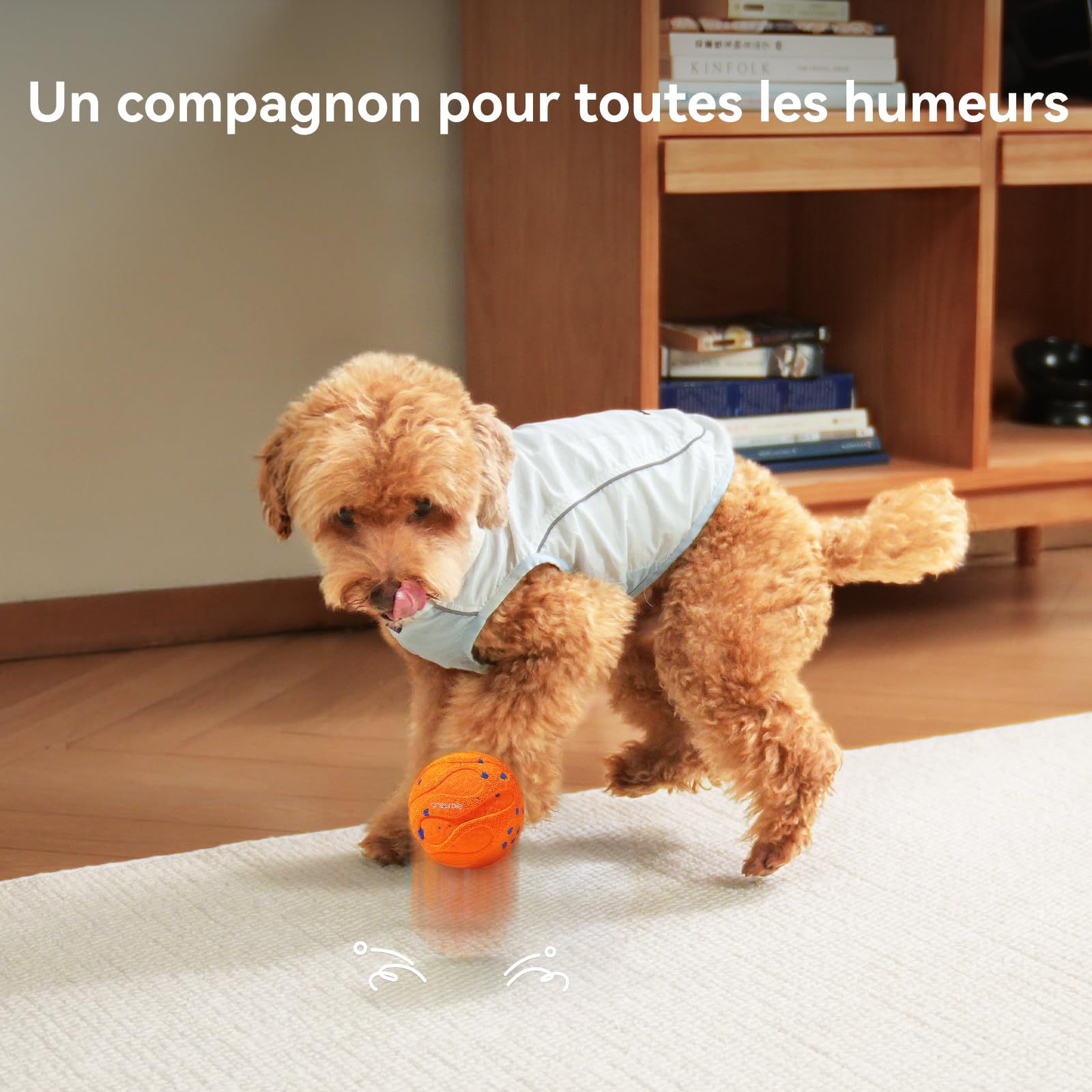 Cheerble Wicked Ball Air Neo – Le Ballon interactif Qui Calme Votre Chien avec Mode apaisant imitant Les battements de cœur, Auto-Rotatif, E-TPU, IPX7 étanche, pour Petites et Grandes Races, Orange