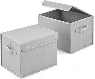 Fabric Storage Bins with Lids, Collapsible, White, 2-Pack