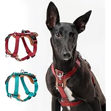 No-Pull Dog Harness for Small/Medium/Large DogsAdjustable Reflective Nylon Harness with PU Padding, Comfortable & Durable Pet Harness for Dog Walking & Training Red,S