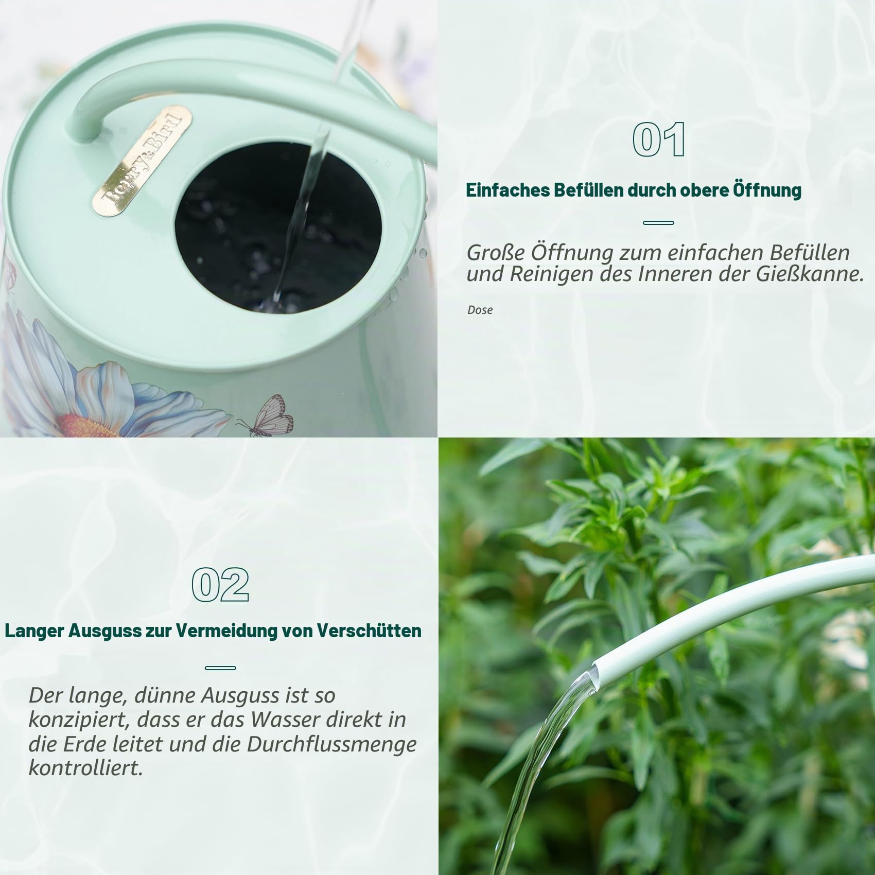 Berry&Bird Edelstahl-Gießkanne – für drinnen und draußen, große Gießflasche mit langem Auslauf, kein Tropfen, Zimmerpflanzen-Gießkanne für Blumen, Bonsai, Sukkulenten (2 l/Gänseblümchen)