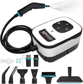 Dampfreiniger Handgerät, 6-Gang Steam Clea