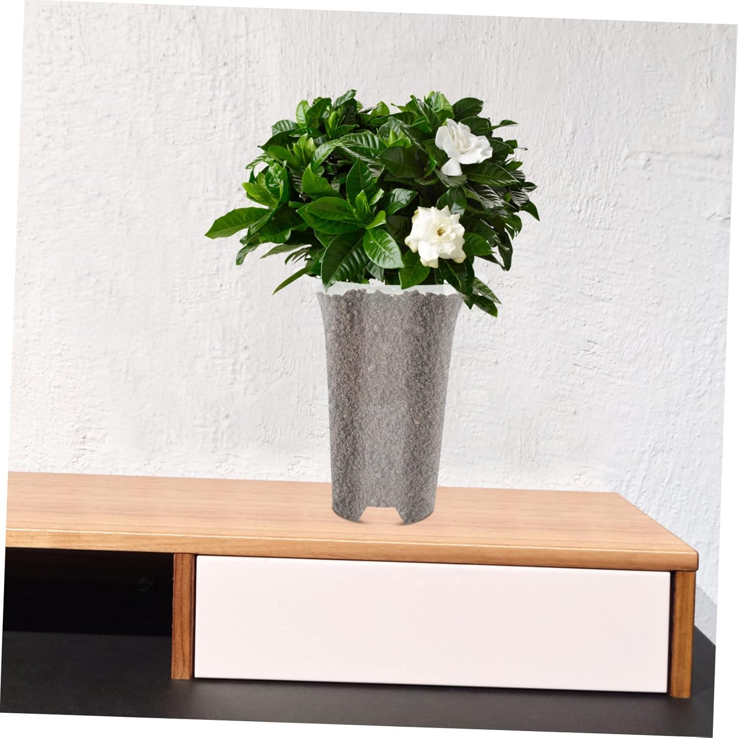 5pcs Orchid Planting Pot Breathable Heightened Plastic Flower Pots for Use Design Optimal Drainage for Growth