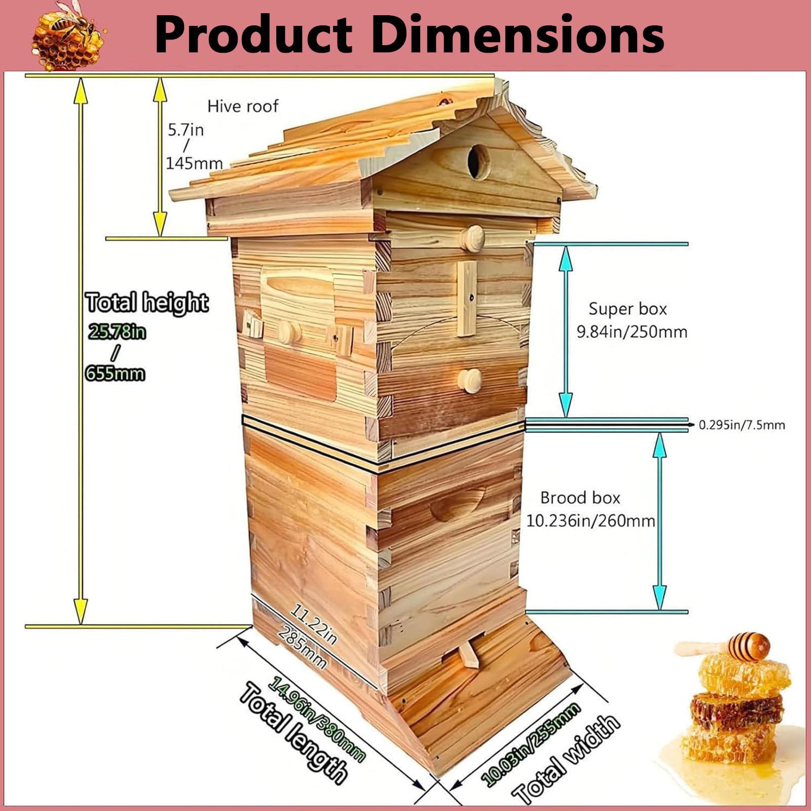 Kit de inicio de colmena con ventana de observación y boquilla de miel, caja completa de apicultura de madera con 4 marcos y 6 bandejas de panal para apicultores principiantes