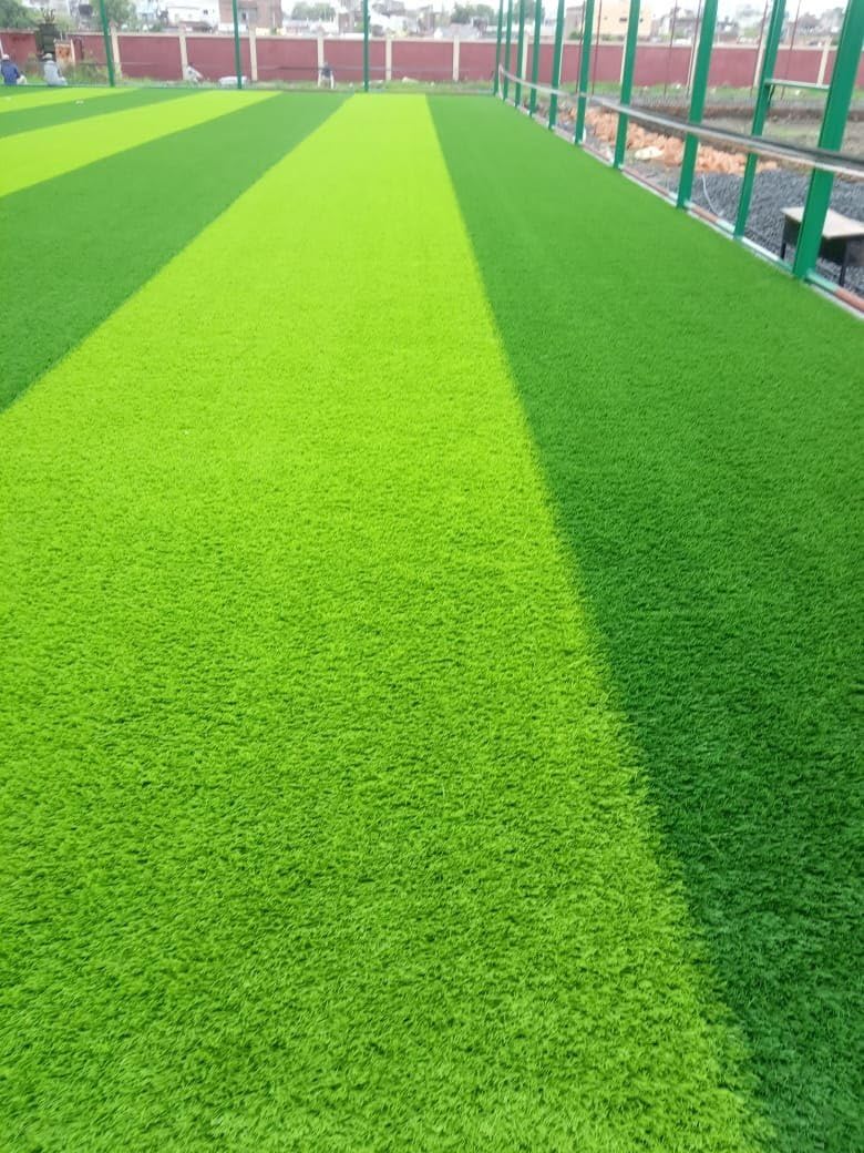 Cricket/Football/Park Area Lawn Grass Seeds For Plant (32000 seeds) (B0CRTM6RKP) Amazon Price History, Amazon Price Tracker