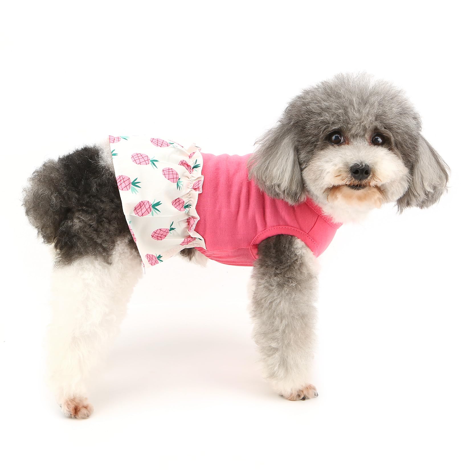 Ranphy Pet Dress for Small Dog Girl Cute Pineapple Sundress Puppy Tank Top Skirt Outfits Yorkie Chihuahua Summer Clothes Cat Clothing,Pink,L