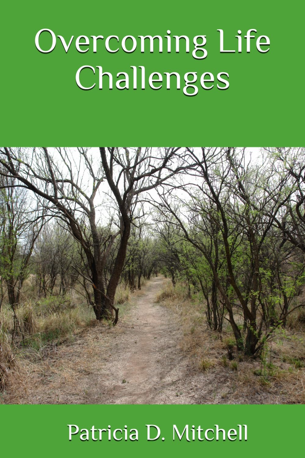 Overcoming Life Challenges