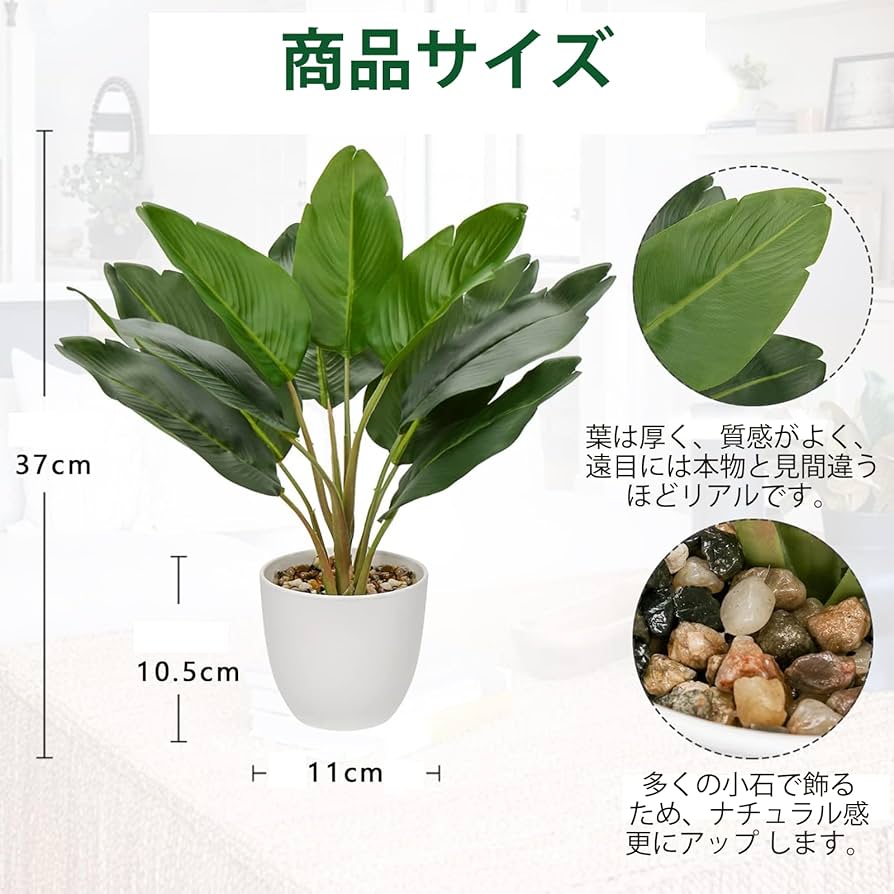 旅人の木 観葉植物 高さ110cm グリーン 事務所 カフェ インテリアグリーン 旅人の木 観葉植物 高さ110cm グリーン 事務所 カフェ