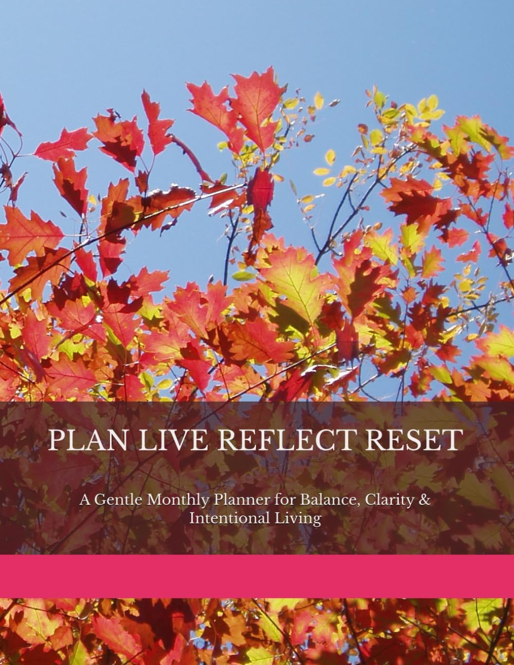 PLAN LIVE REFLECT RESET: A Gentle Monthly Planner for Balance, Clarity & Intentional Living