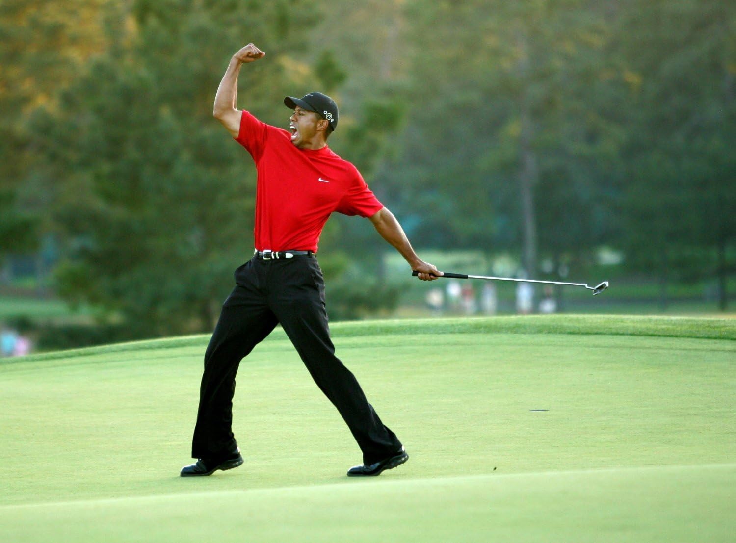 Tiger Woods Wins 11 x 14 Photo Celebrity Art and Photographs