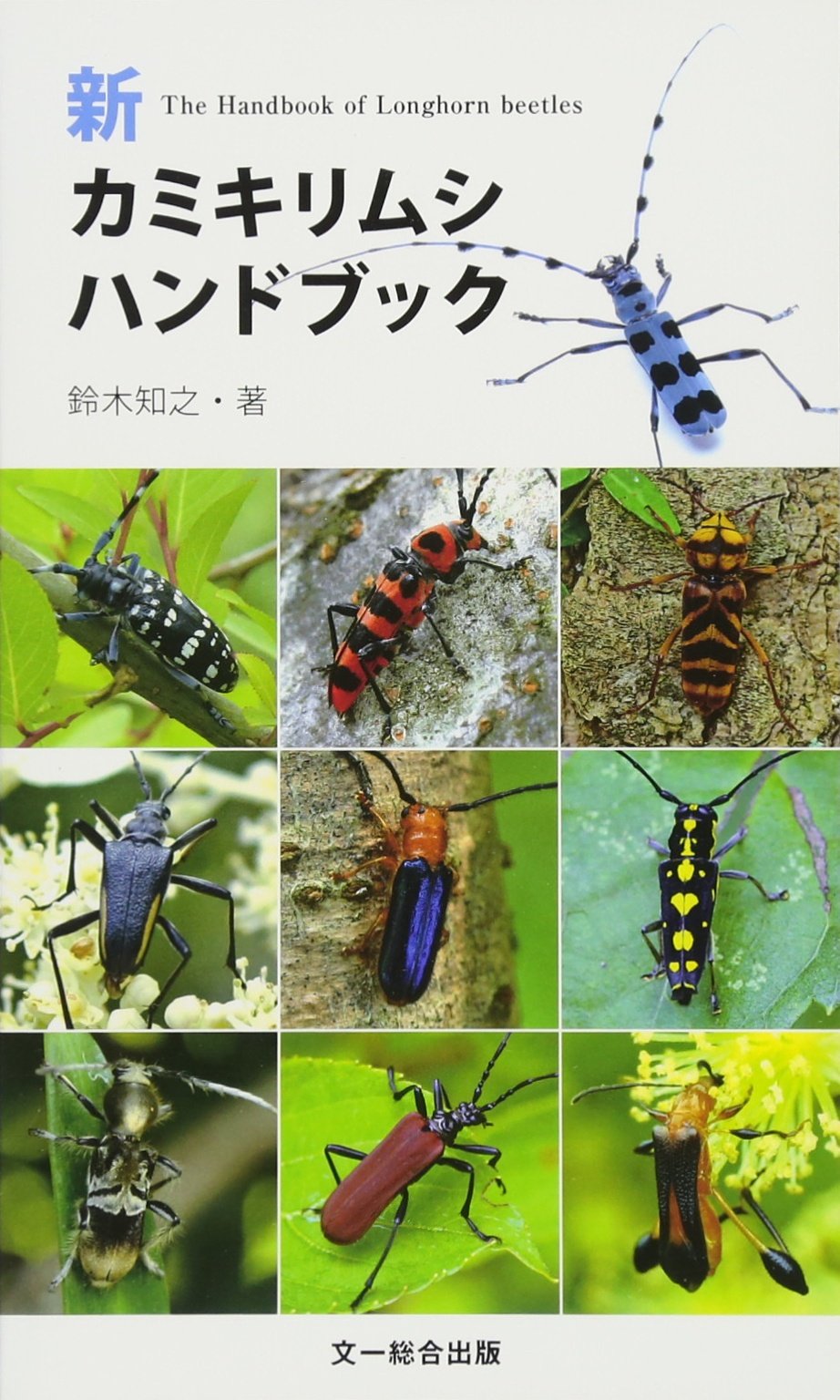 新 カミキリムシハンドブック 鈴木 知之 本 通販 Amazon