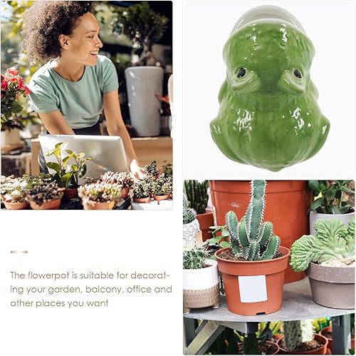 Miniatura 5 de HOMSFOU Linda maceta de cerámica con forma de rana para decoración de interiores, maceta de dibujos animados para regalo para amantes de las plantas
