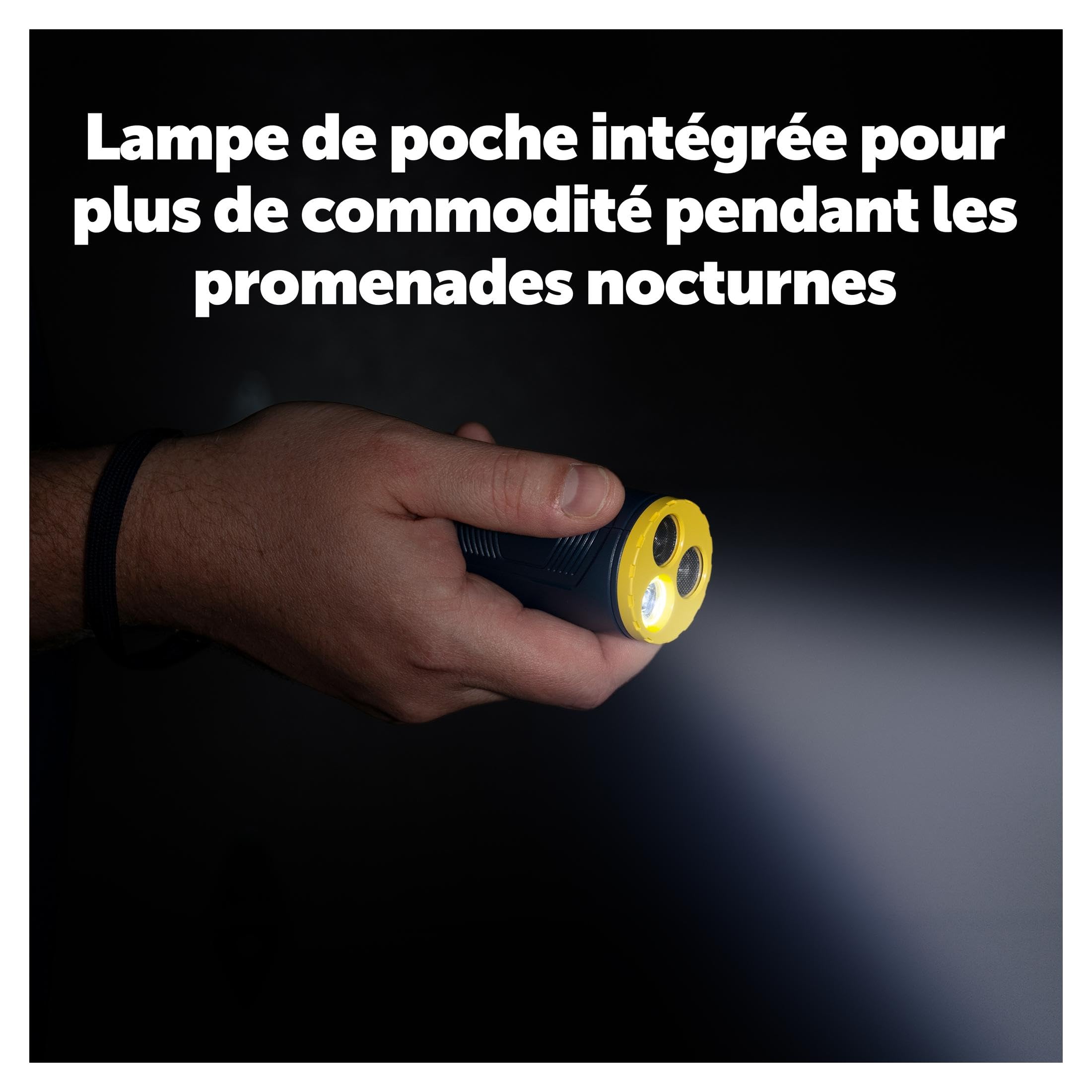 PetSafe Dispositif d'éducation à Ultrason sans Collier