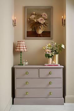 Annie Sloan Wall Paint (Canvas, 4 Fl Oz Tester)