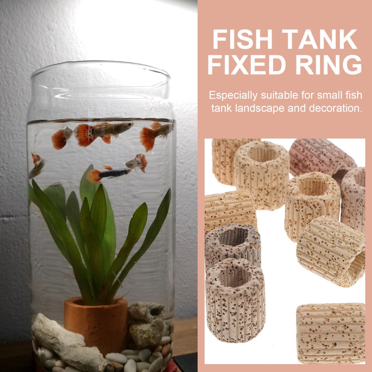 Set Anelli Di Fissaggio Per Piante Acquatiche – 10/20 Pezzi In Ceramica, PP E Spugna, Anti-Galleggiamento Per Acquari, Cesti E Spugne Incluse, Adatto A Vasi In Ceramica